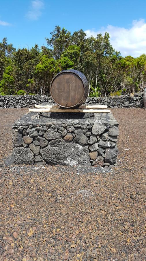 Casa Da Estrela Sirius Villa Cabeco Chao Kültér fotó